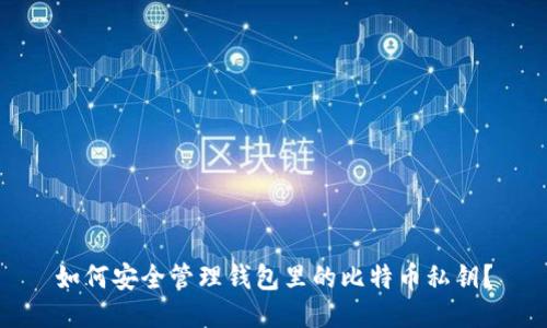 如何安全管理钱包里的比特币私钥？
