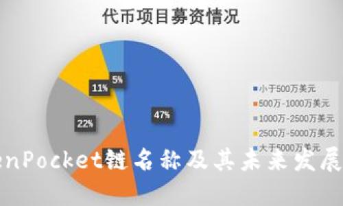 TokenPocket链名称及其未来发展展望