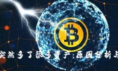 : TP钱包突然多了很多资产