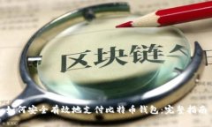 如何安全有效地支付比特