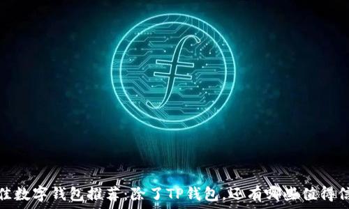   
2023年最佳数字钱包推荐：除了TP钱包，还有哪些值得信赖的选择？
