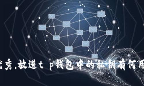 思考一个符合且有价值的优秀,放进t p钱包中的私钥有何用处?详解及其安全管理策略