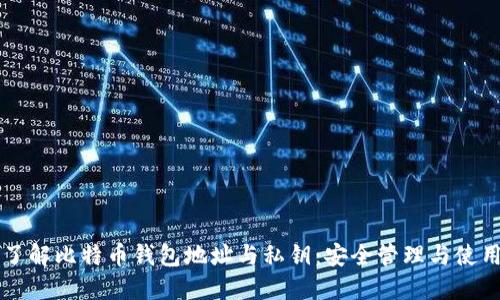 深入了解比特币钱包地址与私钥：安全管理与使用指南
