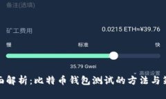 全面解析：比特币钱包测试的方法与策略