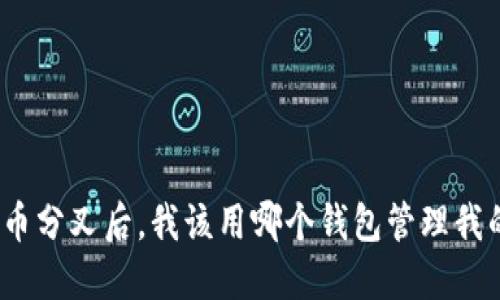 ()比特币分叉后，我该用哪个钱包管理我的资产？