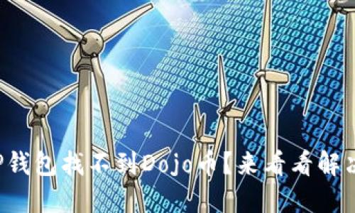 遇到TP钱包找不到Dojo币？来看看解决方法！