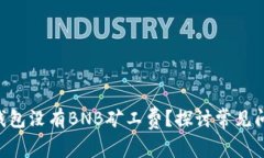 为什么我的TP钱包没有BN