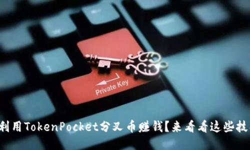 如何利用TokenPocket分叉币赚钱？来看看这些技巧吧！