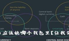 比特币应该放哪个钱包里