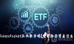 你知道TokenPocket汉化软件吗
