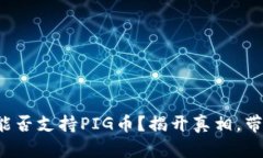 TP钱包能否支持PIG币？揭开