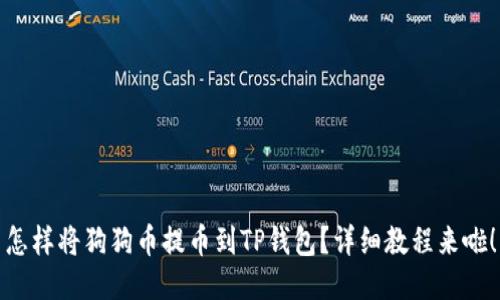 怎样将狗狗币提币到TP钱包？详细教程来啦！