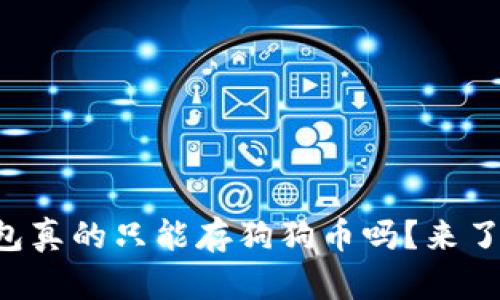 狗狗币钱包真的只能存狗狗币吗？来了解一下吧！