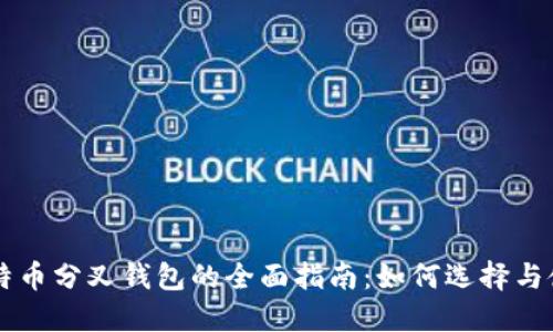 比特币分叉钱包的全面指南：如何选择与使用