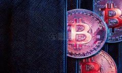   以太坊私钥导入钱包的详细步骤与注意事项 /