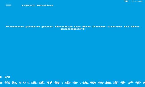 和关键词

小狐狸钱包SOL通道详解：安全、流畅的数字资产管理体验