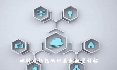 比特币钱包的种类和数量详解