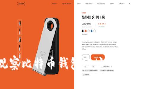 如何有效观察比特币钱包地址并分析其交易活动