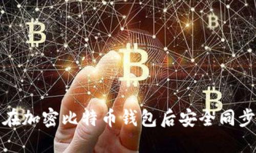 如何在加密比特币钱包后安全同步数据