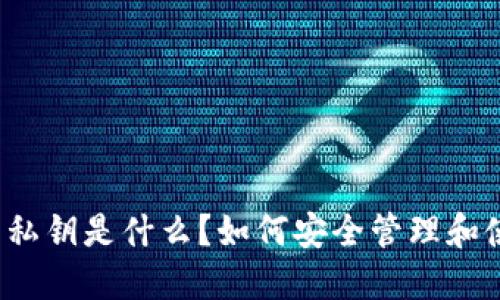TP钱包的私钥是什么？如何安全管理和使用私钥？