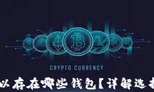 
USDT币可以存在哪些钱包？详解选择与安全性