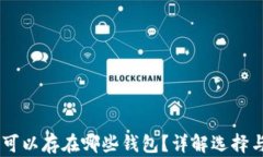 USDT币可以存在哪些钱包？