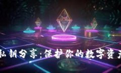 以太坊钱包私钥分享：保护你的数字资产安全与
