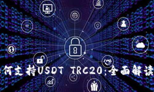 波场钱包如何支持USDT TRC20：全面解读与使用指南