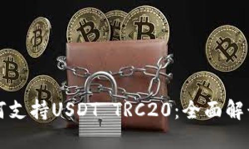 波场钱包如何支持USDT TRC20：全面解读与使用指南