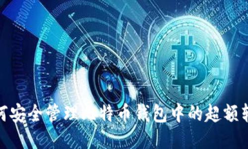 如何安全管理比特币钱包中的超额转账