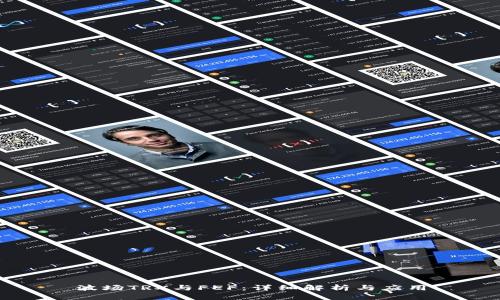 波场TRX与FEF：详细解析与应用